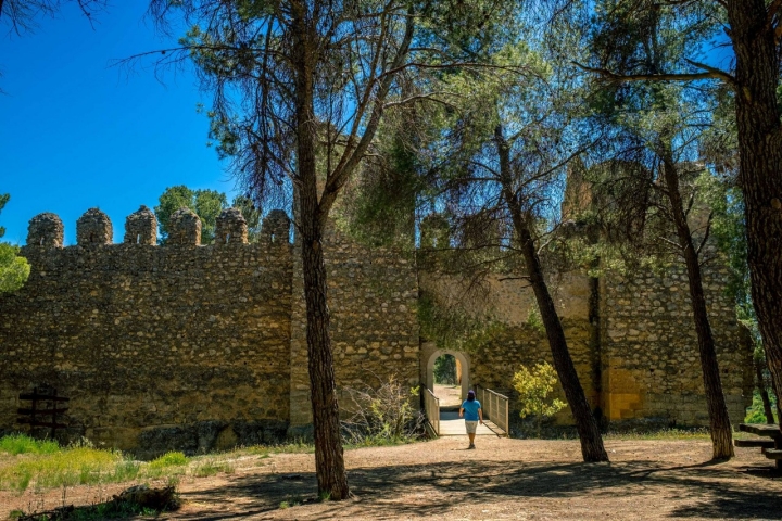 Escapada Anento castillo