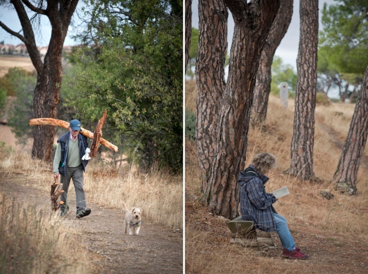 Los pinares que rodean El Calvario y que bajan al cementerio judío.