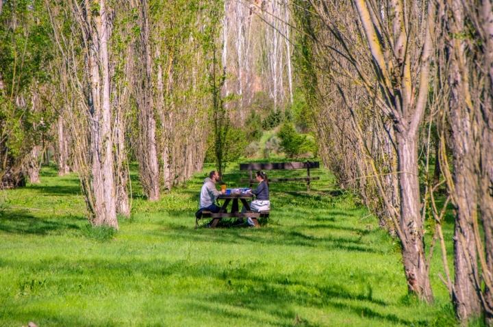 Hay mesas de picnic repartidas en las inmediaciones del centro de visitantes.