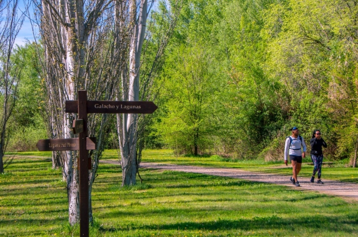 No hace falta hacer paseos guiados, la señalización permite disfrutar del lugar por libre.