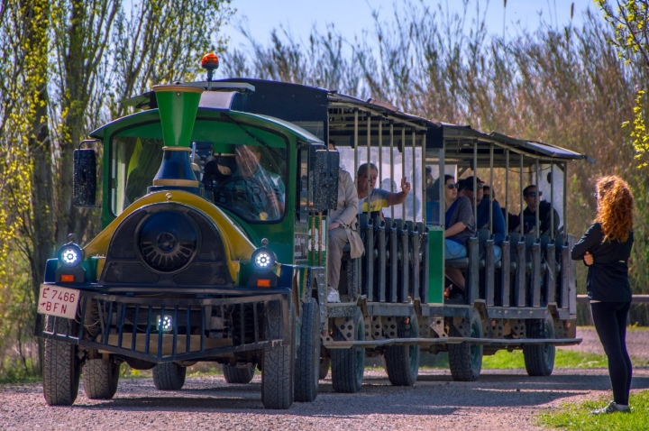 Tren El Carrizal, el mejor medio de transporte para acercarse hasta este espacio protegido.