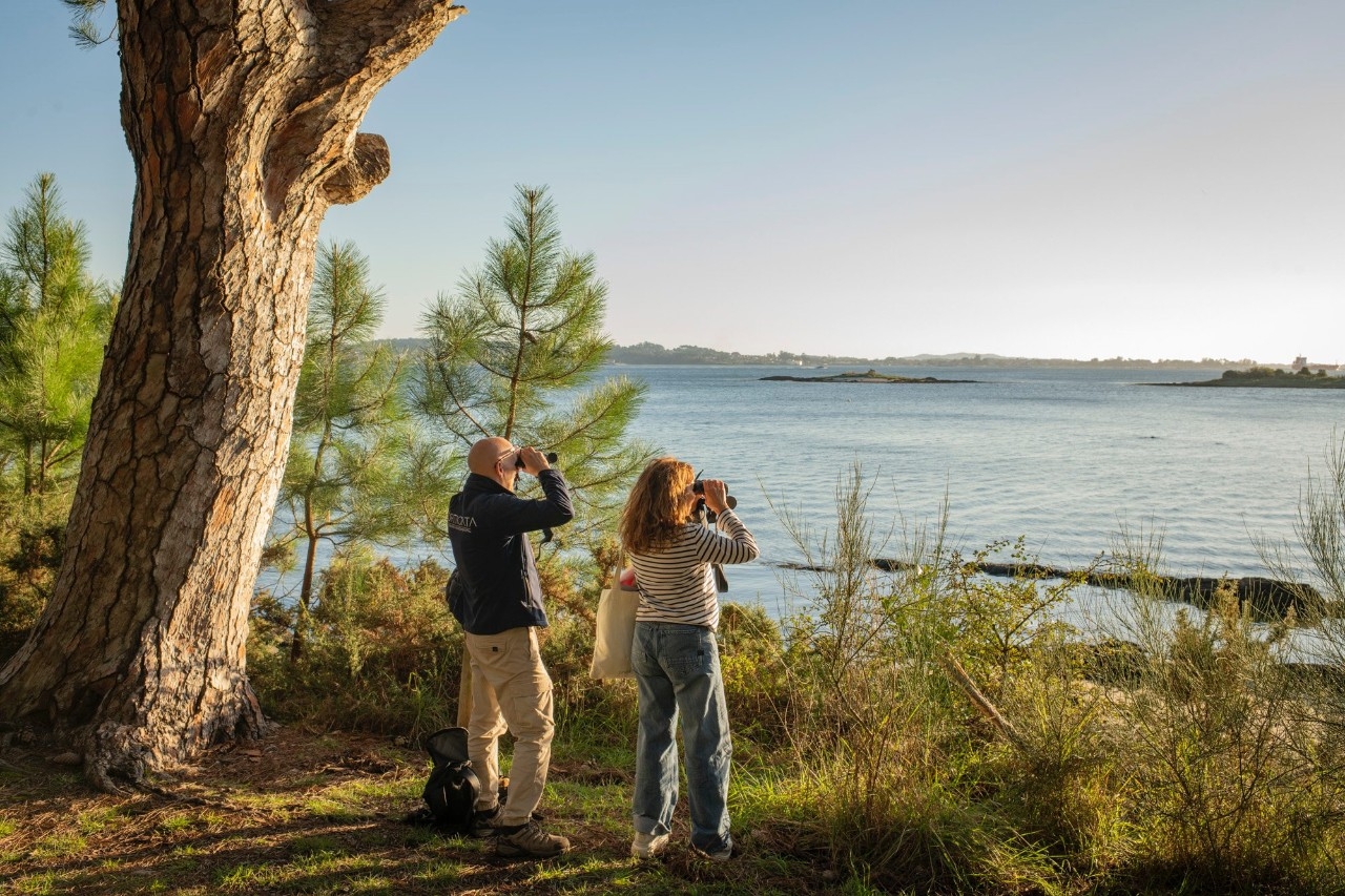 Dos personas miran con prismáticos hacia el mar.