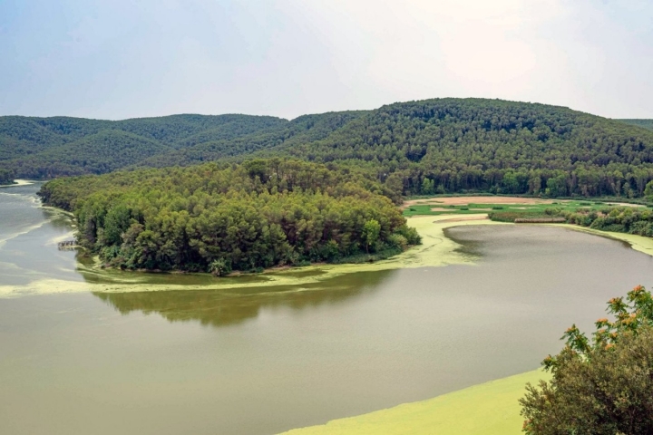 Pantano de Foix (Barcelona): embalse