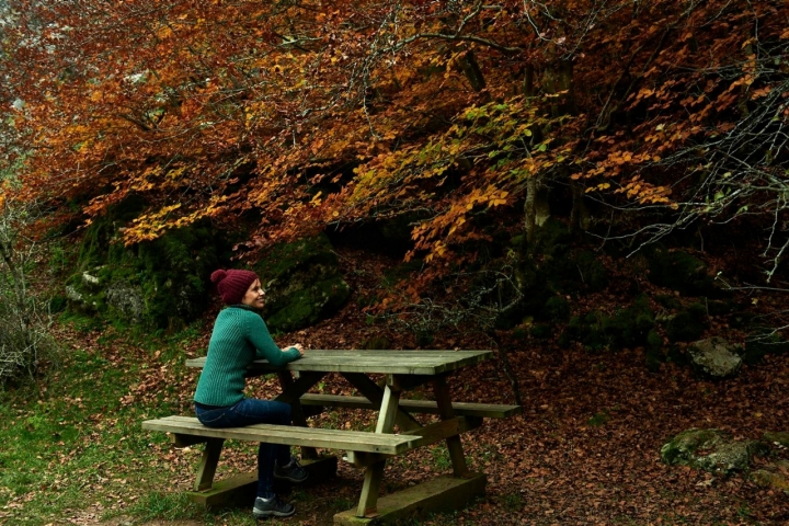 merendero bosque faedo ciñera