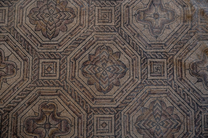 Planes Sierra de la Culebra Zamora Mosaico