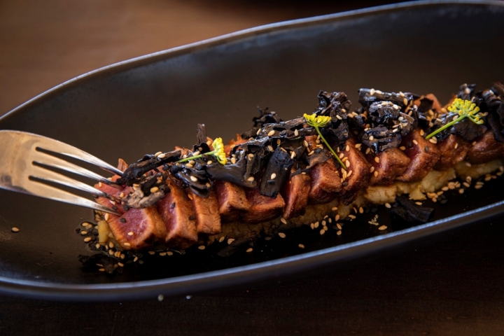 presa iberica altana club grao castellon