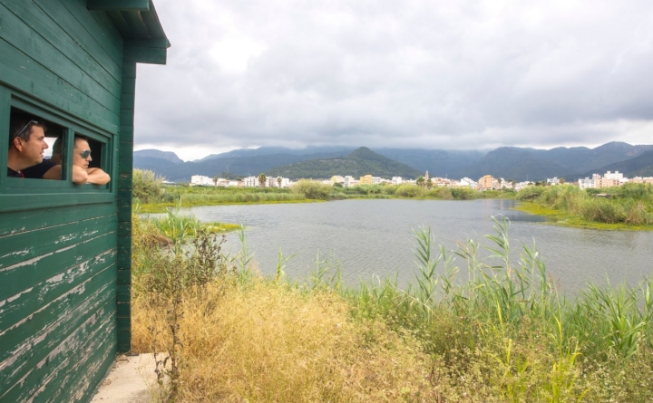 Caseta desde donde observar aves en la marjal de Xeraco