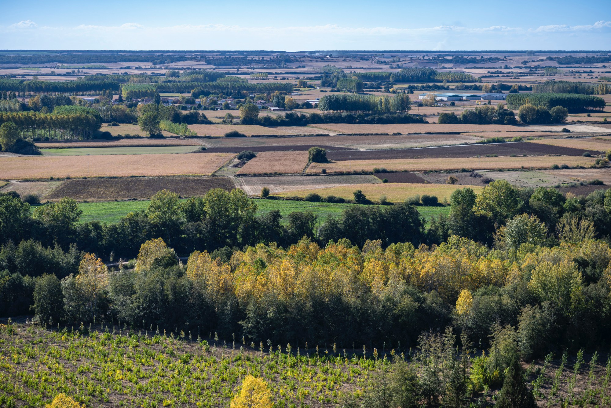 La vega del río Carrión desde el mirador de La Morterona al inicio del otoño.