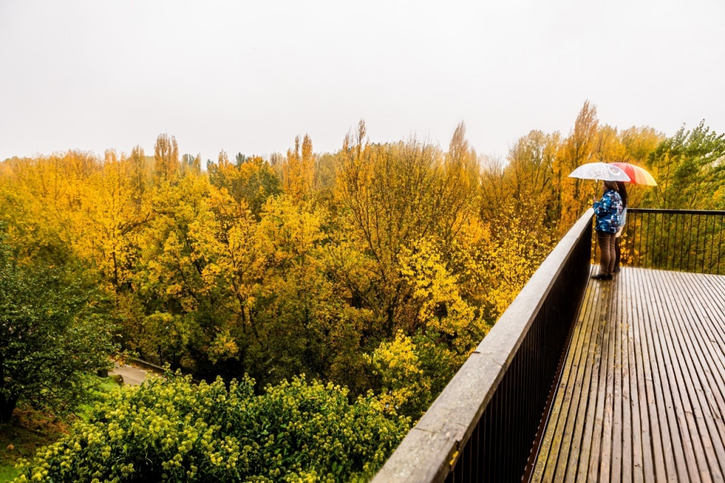 Una villa medieval sorpresa en la A-15