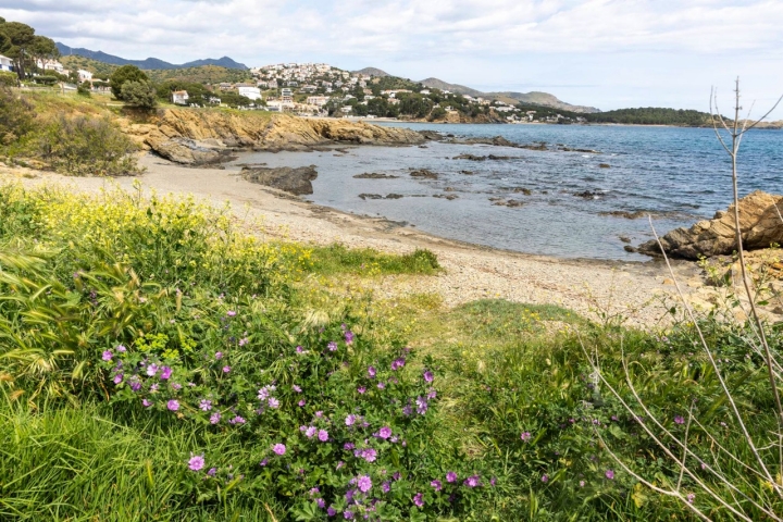Qué ver y hacer en Llançà vegetación