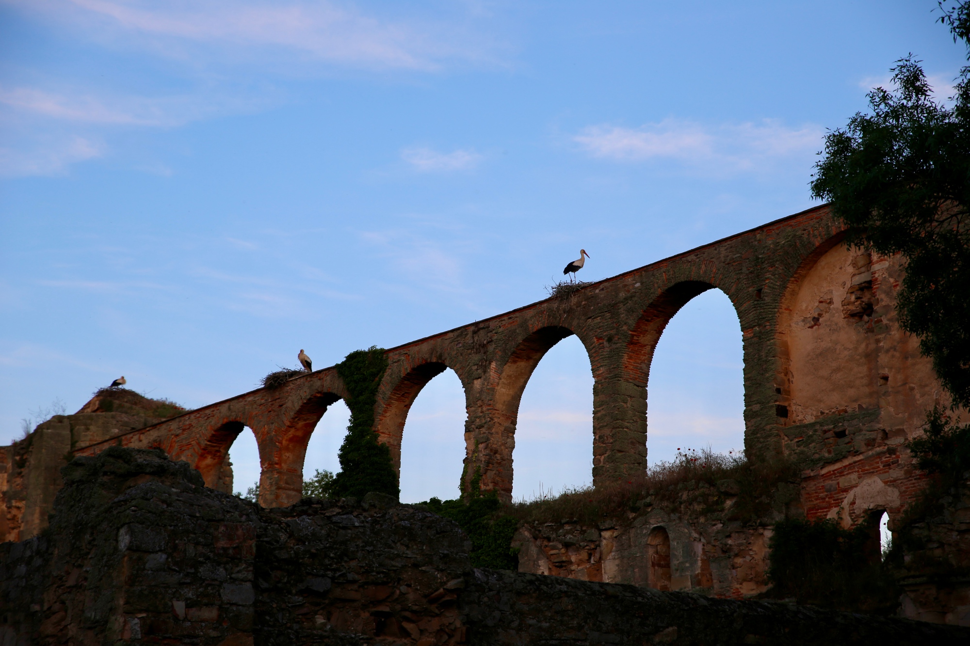 Las cigüeñas nos acompañan en el final del viaje.