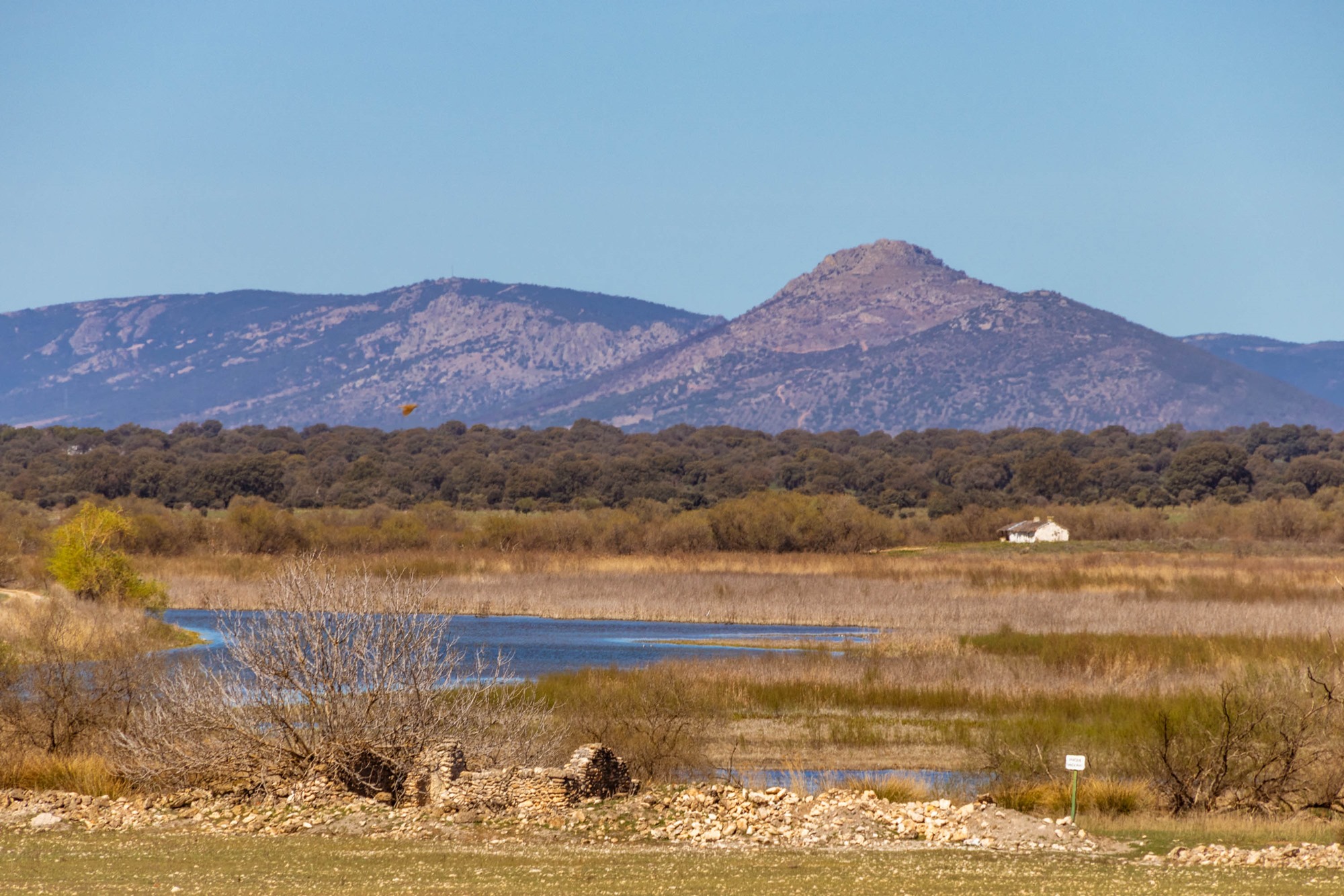 Cerro Malagón Tablas Daimiel