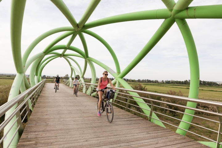 puente del bicentenario
