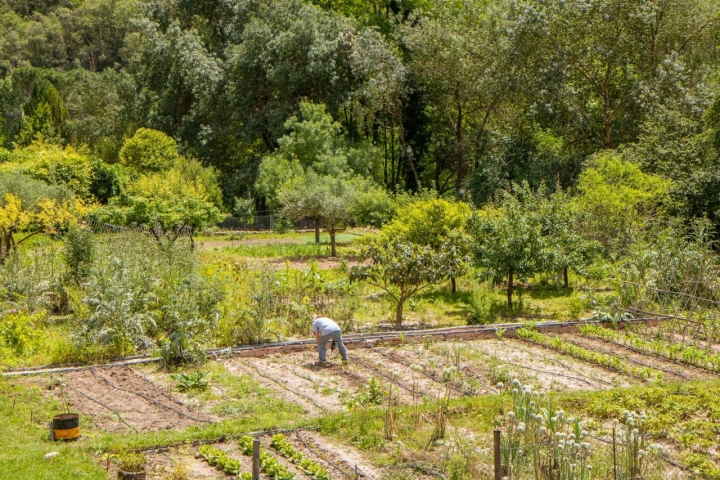 Ruta Camino Natural Muga huerta