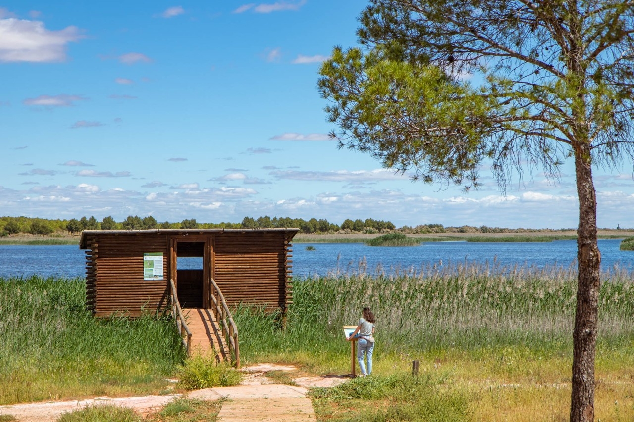 Buscando flamencos en una Mancha que todavía es húmeda.