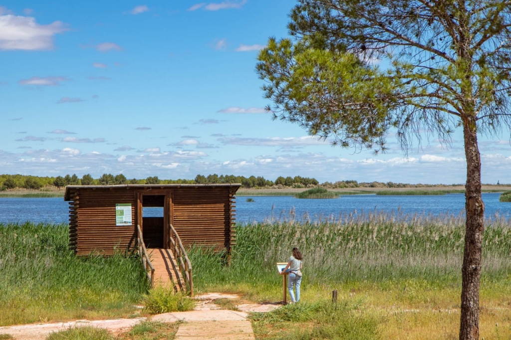 Buscando flamencos en una Mancha que todavía es húmeda