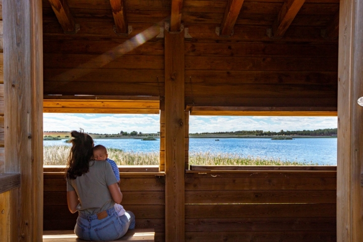 Las vistas desde el interior del observatorio de aves.