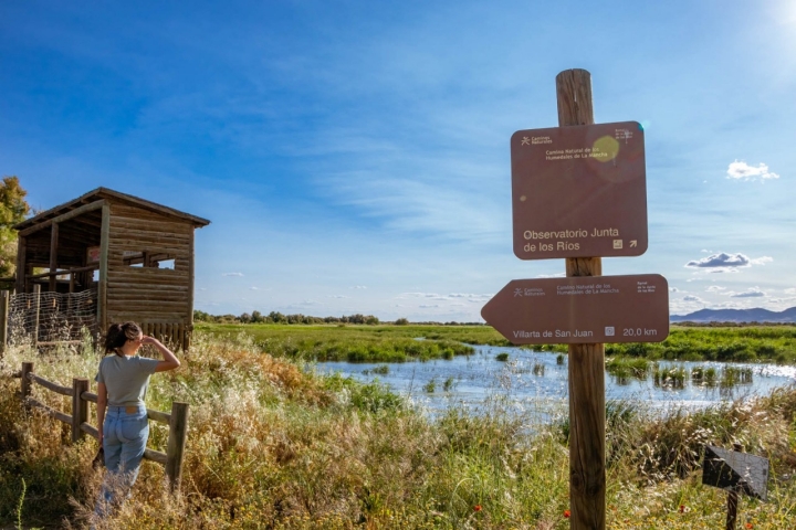 Llegada al Paraje Natural 'Junta de los Ríos' Gigüela y Záncara, situado al final del Ramal del Camino Natural que sale desde Alcázar de San Juan.