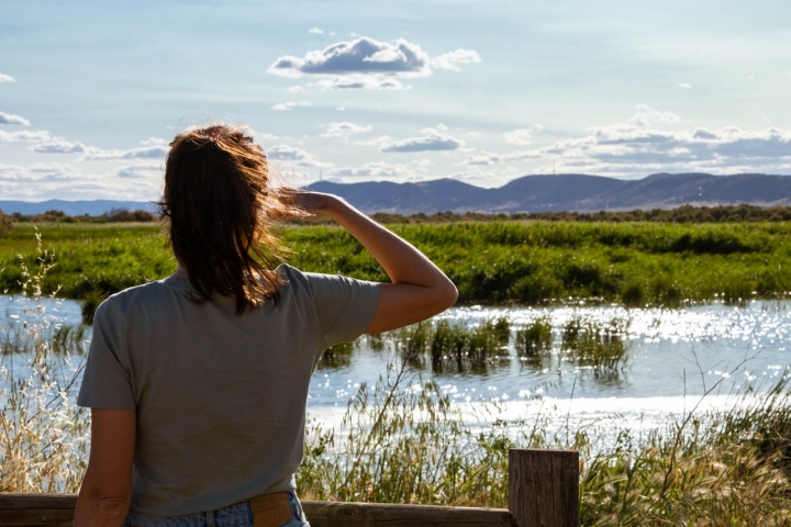 Se estima que, en la década de 1960, este humedal llegaba a tener una superficie inundable de más de 3.000 hectáreas.