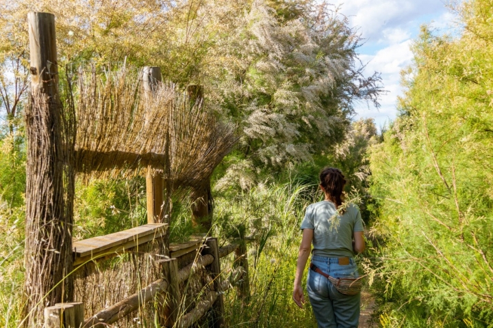 La ruta es un recorrido de unos 60 kilómetros en paralelo al río Cigüela.
