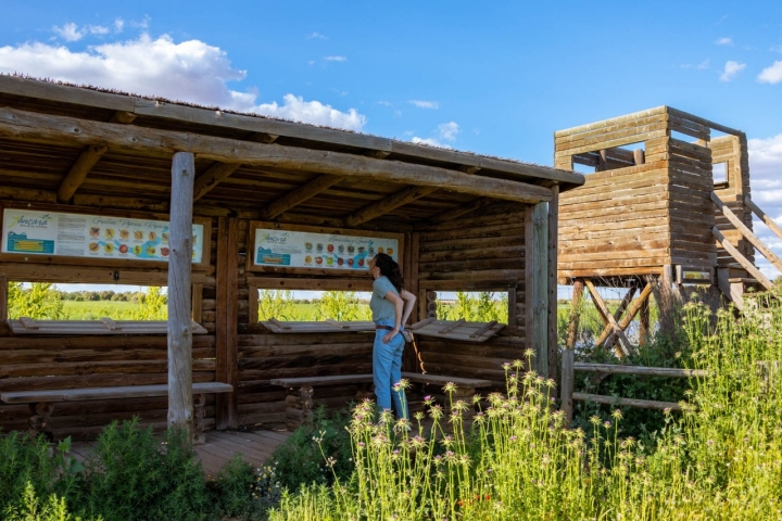 Varios paneles informativos nos ilustran sobre la rica fauna y flora de la zona. 
