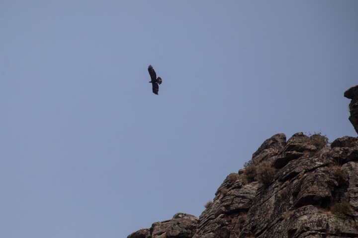 Kayak Arribes del Duero
