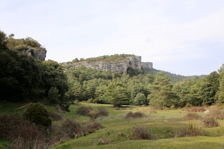 El paraje de San Martín de Valparaíso.