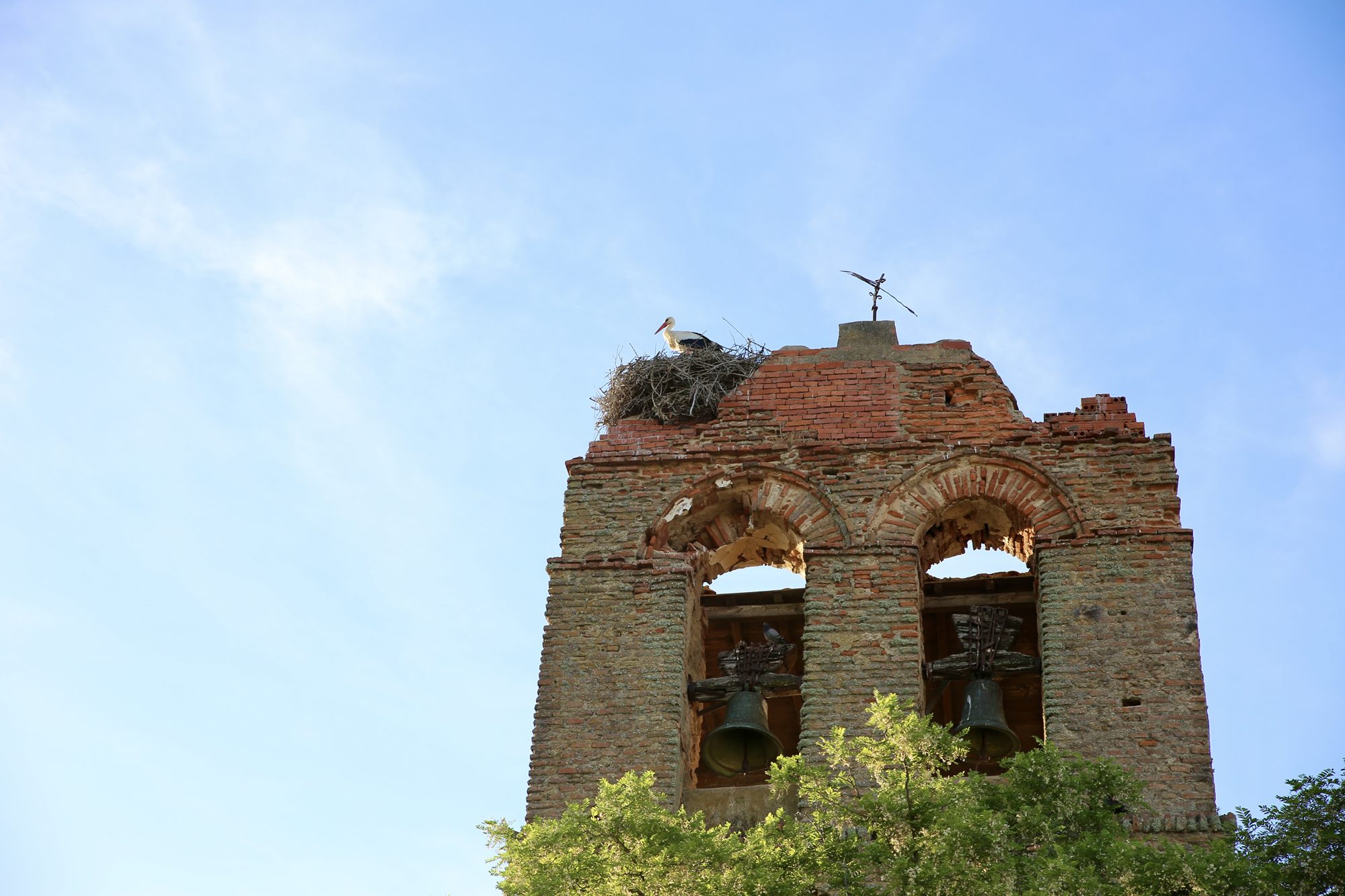 Ruta Lagunas Villafáfila cigüeña