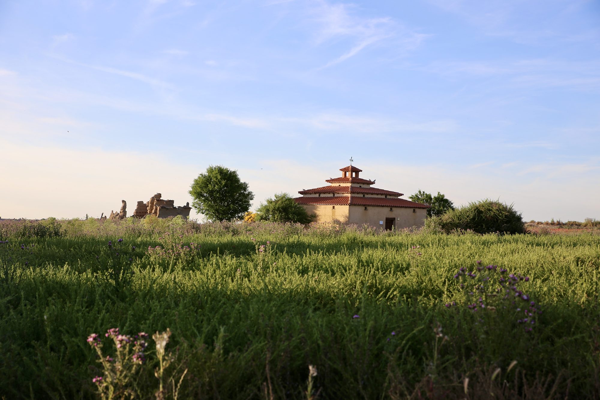 Ruta Lagunas Villafáfila mirador restaurado
