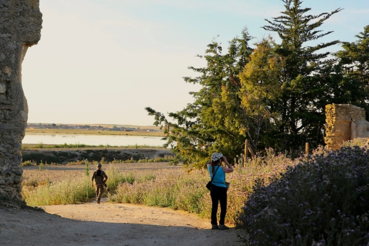 Nos perdemos en un horizonte campestre que parece no tener fin.