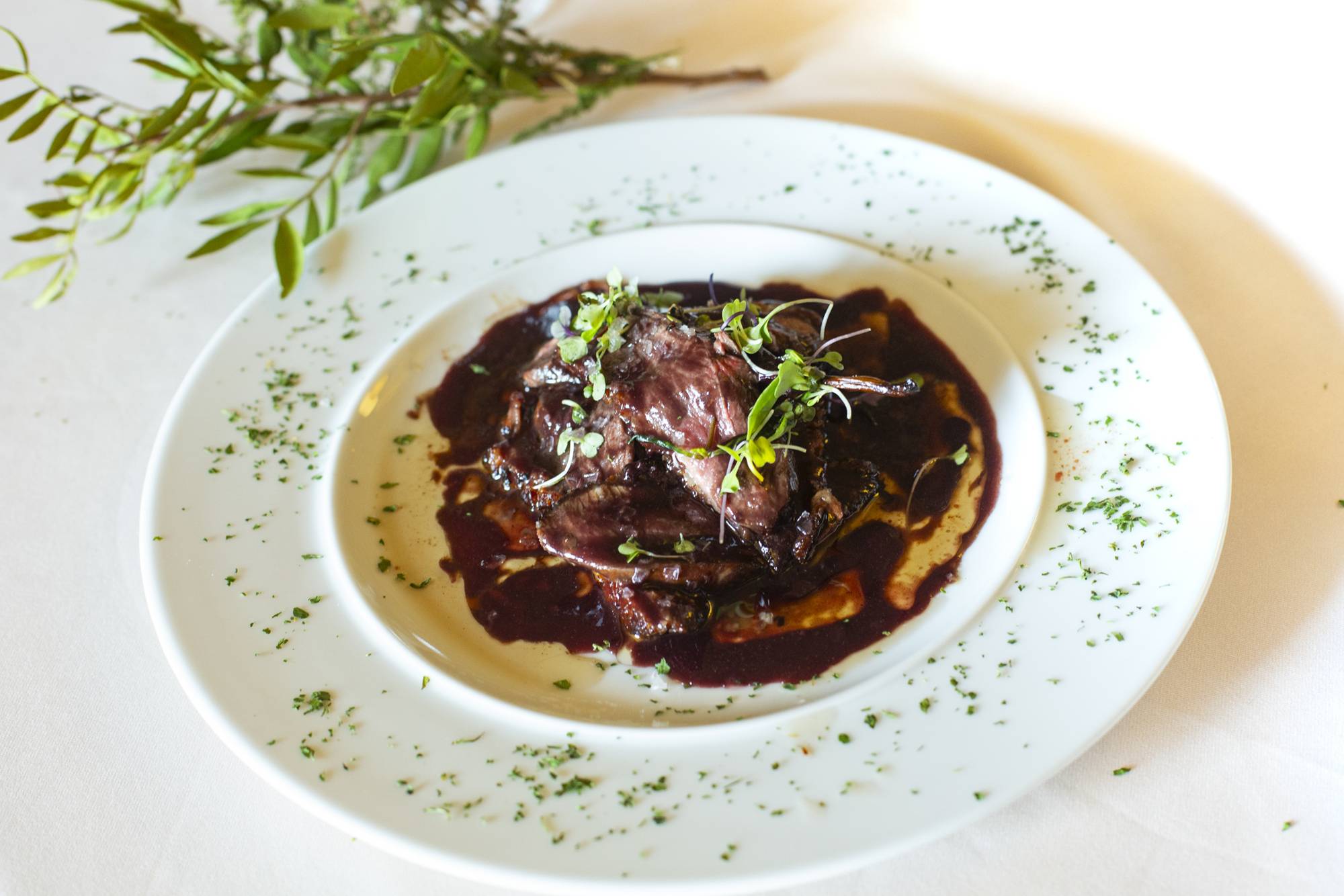 Ruta olivos Castellón Farga magret