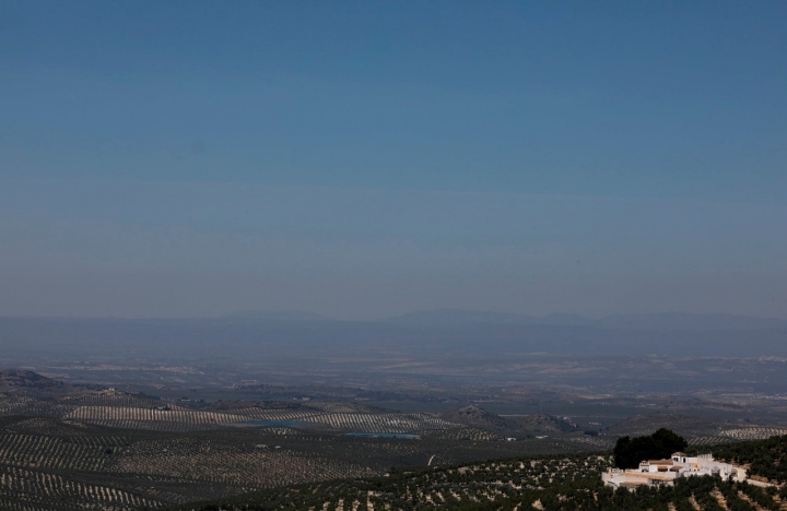 Los olivares abarcan hasta donde llega la vista.