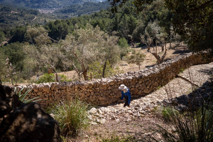 Por los antiguos caminos empedrados del interior de Mallorca.