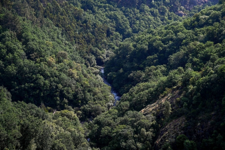 Rutas comarca O Deza (Pontevedra) ríos