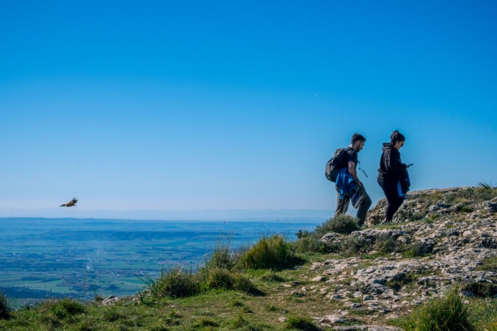 En pocos lugares se ven volar a las grandes aves por debajo de uno mismo.