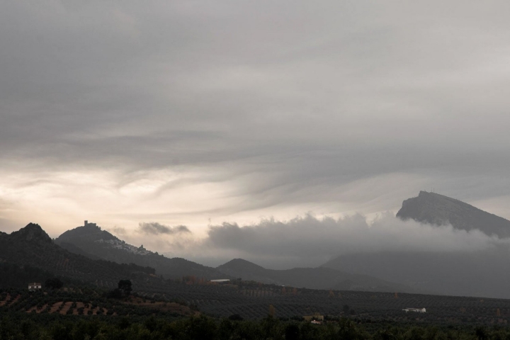 Un mar de nubes cubre el mayor olivar del mundo.
