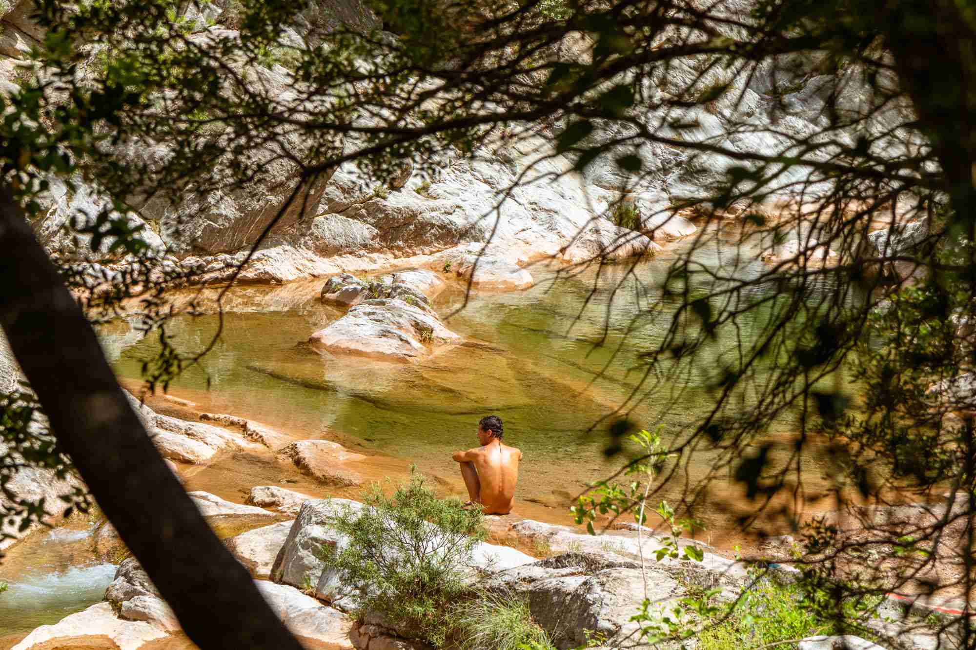 Bañista en una poza, entre ramas de árboles.