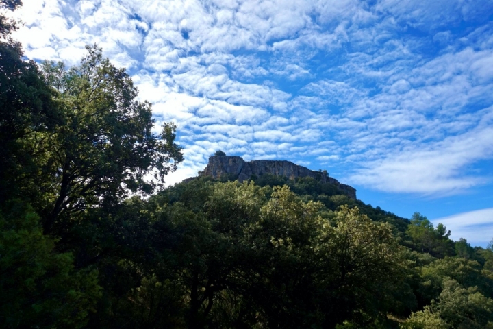 Bosque de frondosas en las Tetas de Viana (Guadalajara).