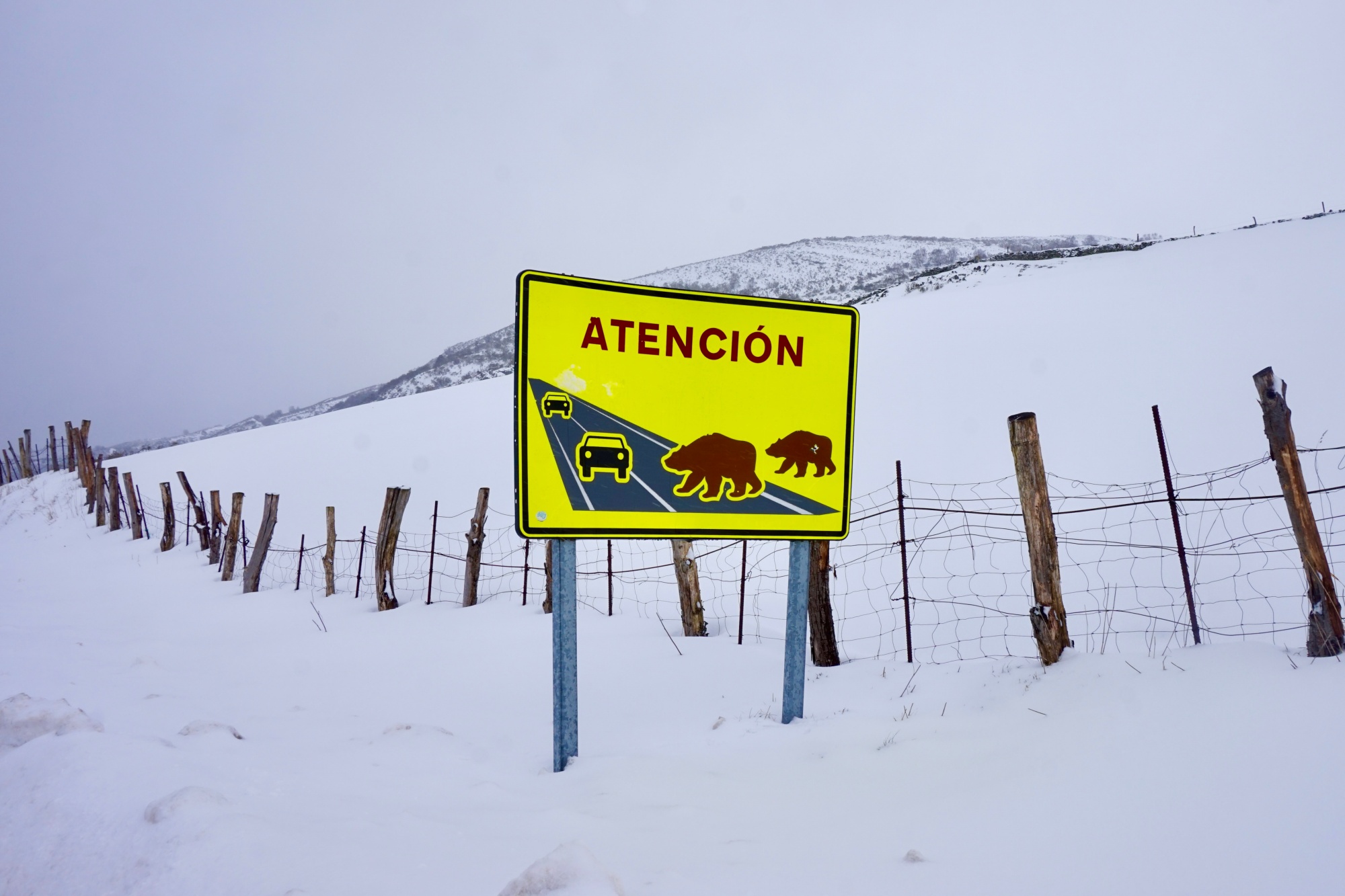 Señal de osos en Leitariegos