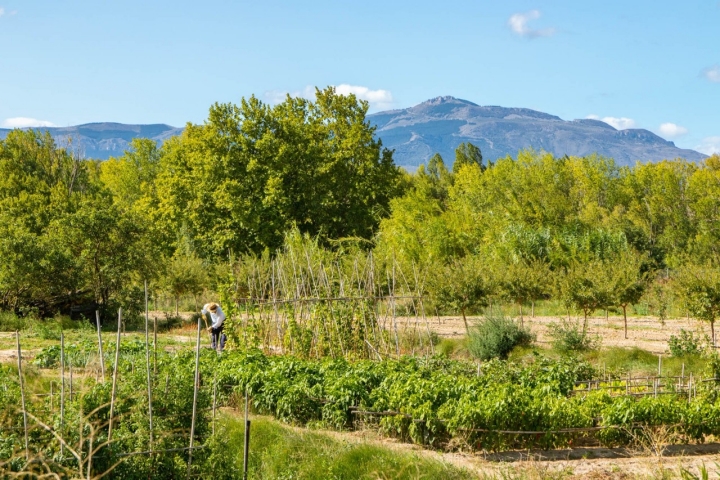 Huerta en Quel con el Monte Isasa al fondo