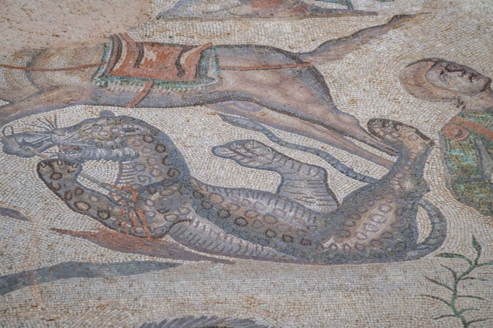 Sí, es un leopardo, guepardo o similar que quizá habitó entre nosotros.