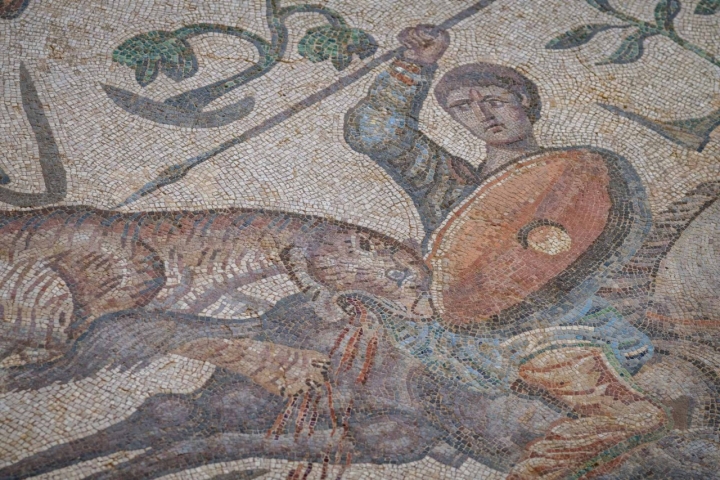 Leopardo atacando al caballo. 