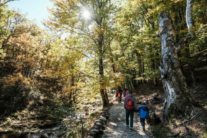 Este asombroso hayedo, uno de los más meridionales de Europa, está a tan sólo 90 kilómetros de Madrid.

​