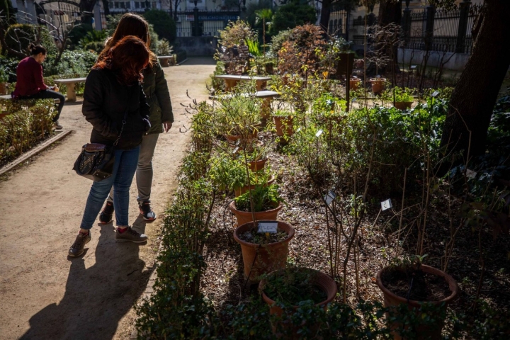 jardin botanico granada