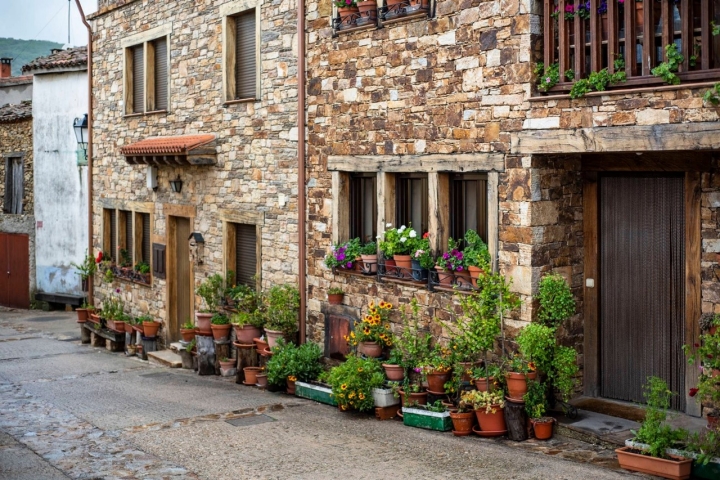 La pasión floral disfruta con esta primavera.