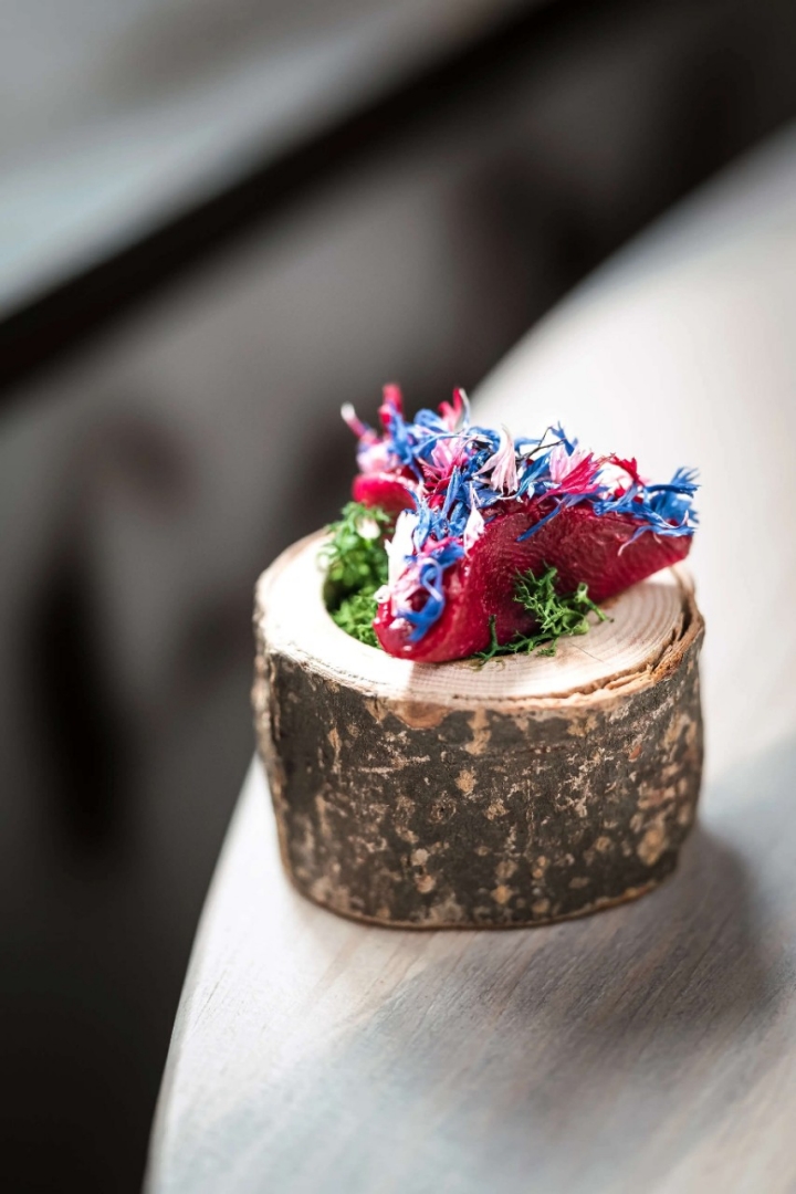 El Invernadero de Rodrigo de la Calle