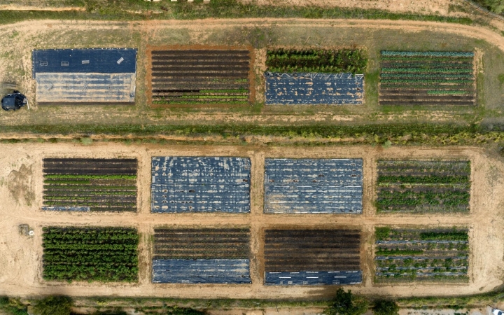 Foto cedida por el restaurante