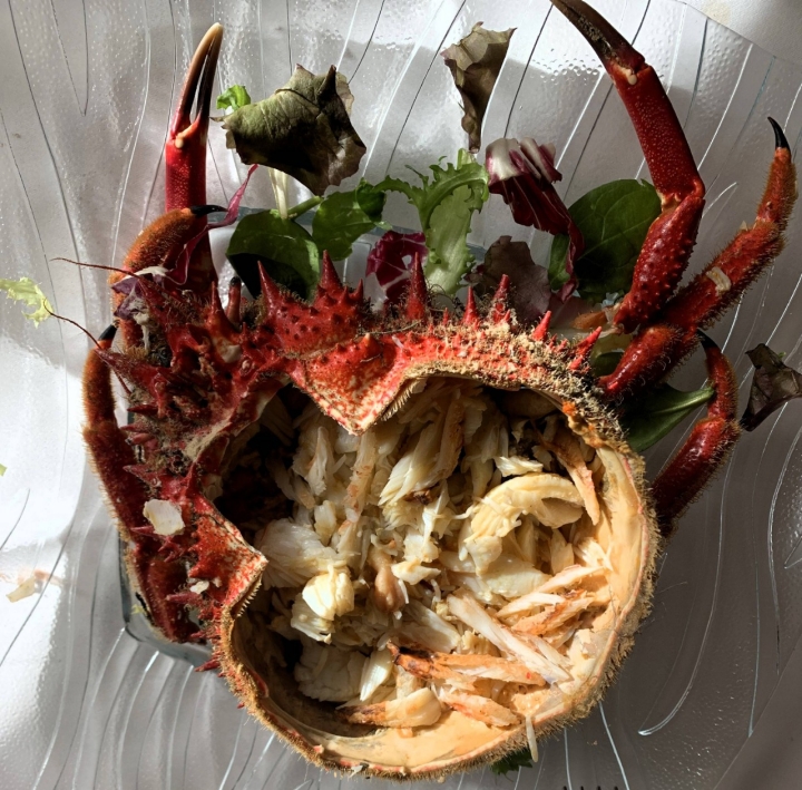 Centolla gallega. Foto Guía Repsol