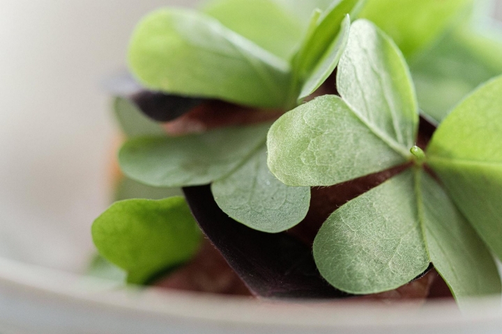 Foto cedida por el restaurante