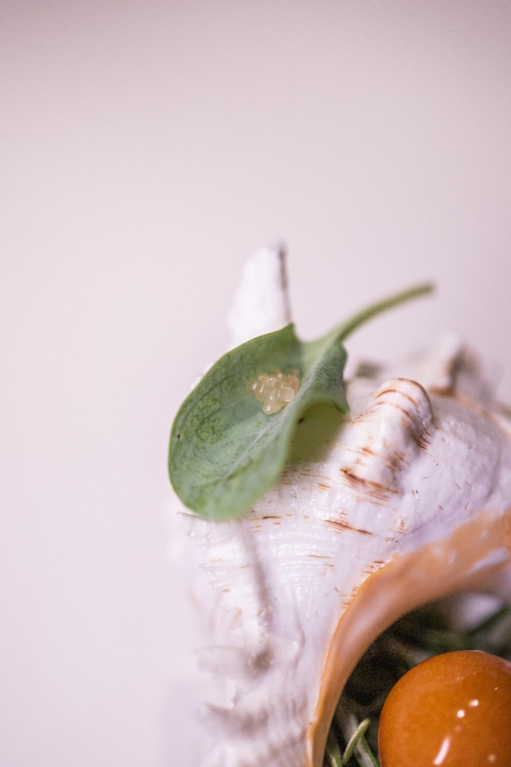 Foto cedida por el restaurante